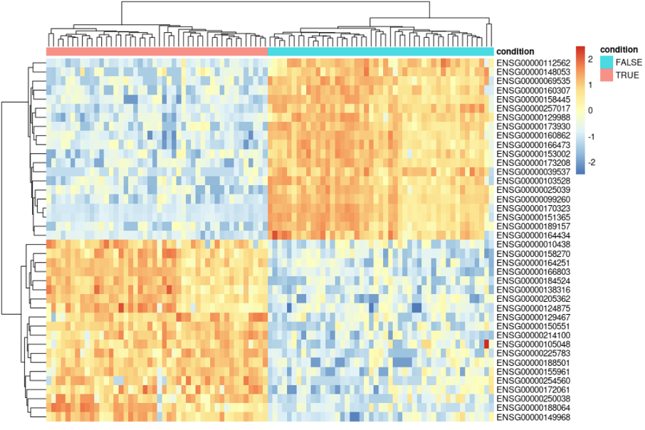 simple heatmap with some top DE genes, or DE genes that are in your biological pathways